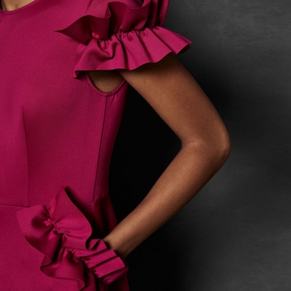 Ted Baker Ruffle Dress - Picture 3 of 6